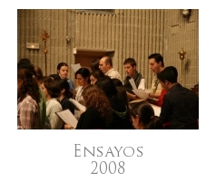 Ensayos 2008